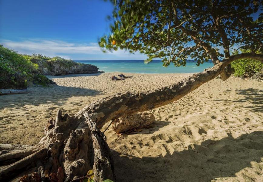 Amazing Condos At Sosua Ocean Village Экстерьер фото